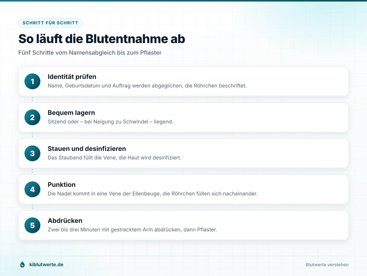 Schrittfolge der Blutabnahme mit Identitätsprüfung, Lagerung, Stauen, Punktion und Abdrücken der Einstichstelle