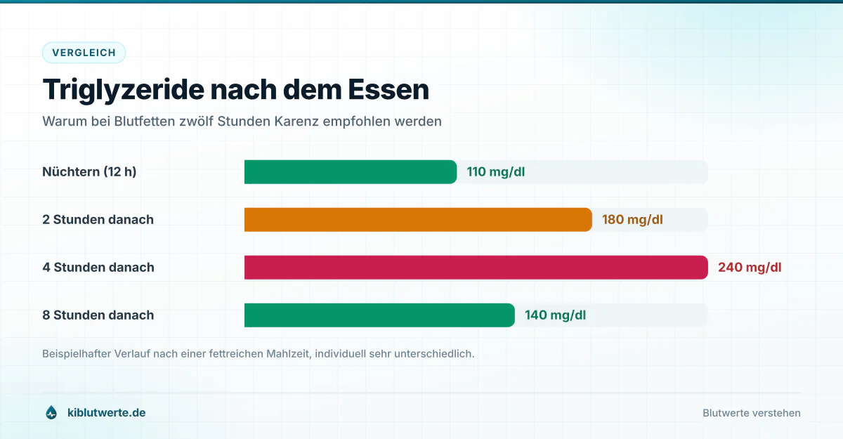 Balkendiagramm der Triglyzeride nüchtern und zwei, vier sowie acht Stunden nach einer fettreichen Mahlzeit in mg/dl