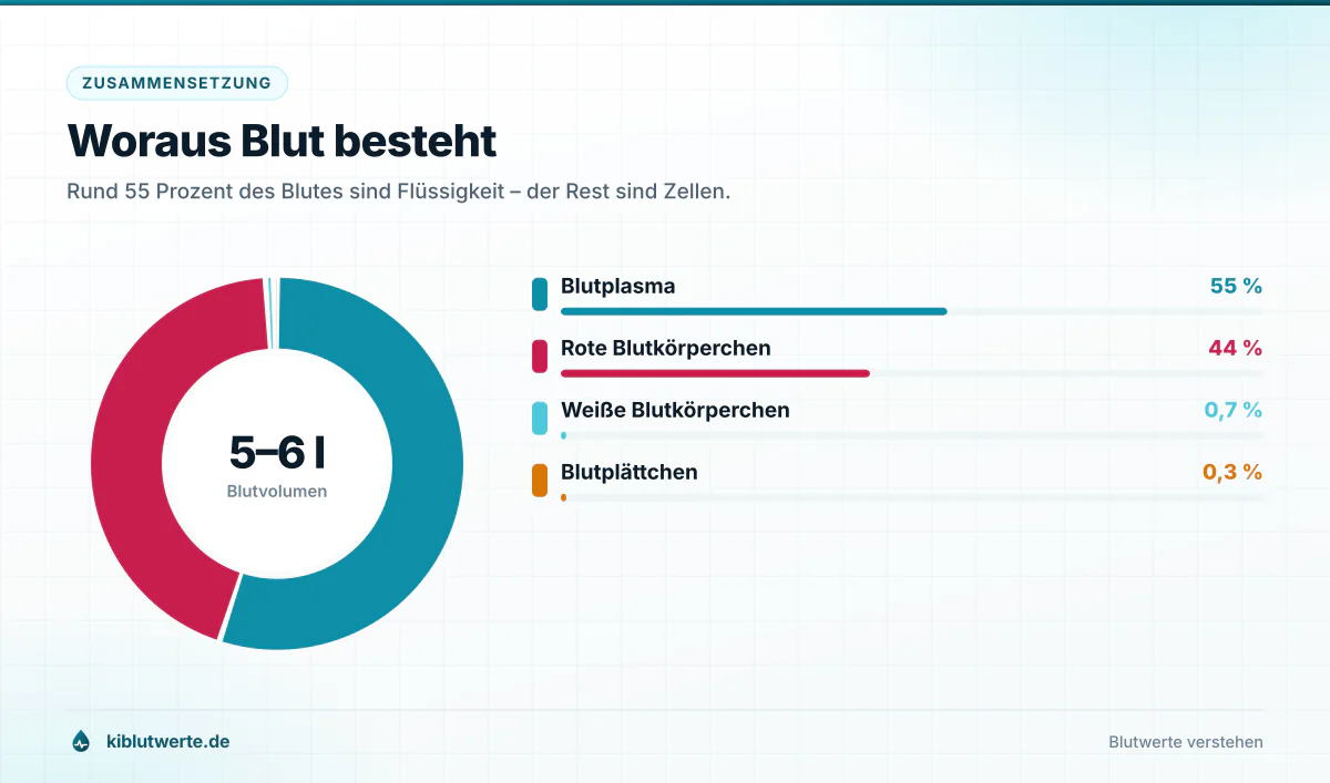 Ringdiagramm der Blutbestandteile mit 55 Prozent Blutplasma, 44 Prozent roten Blutkörperchen und einem Prozent weißen Blutkörperchen und Blutplättchen