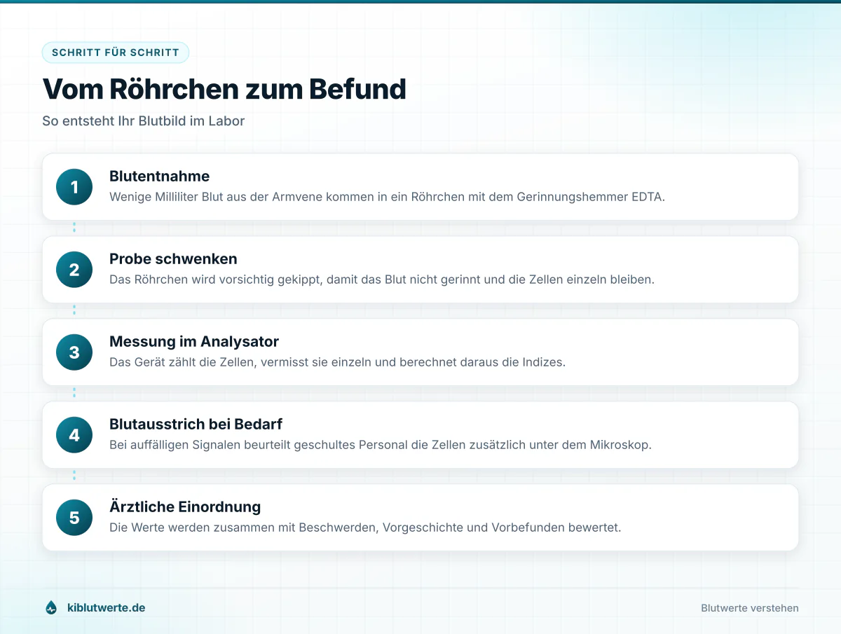Vom Röhrchen zum Befund Ablaufgrafik in fünf Schritten von der Blutentnahme über die Messung im Analysator bis zur ärztlichen Einordnung