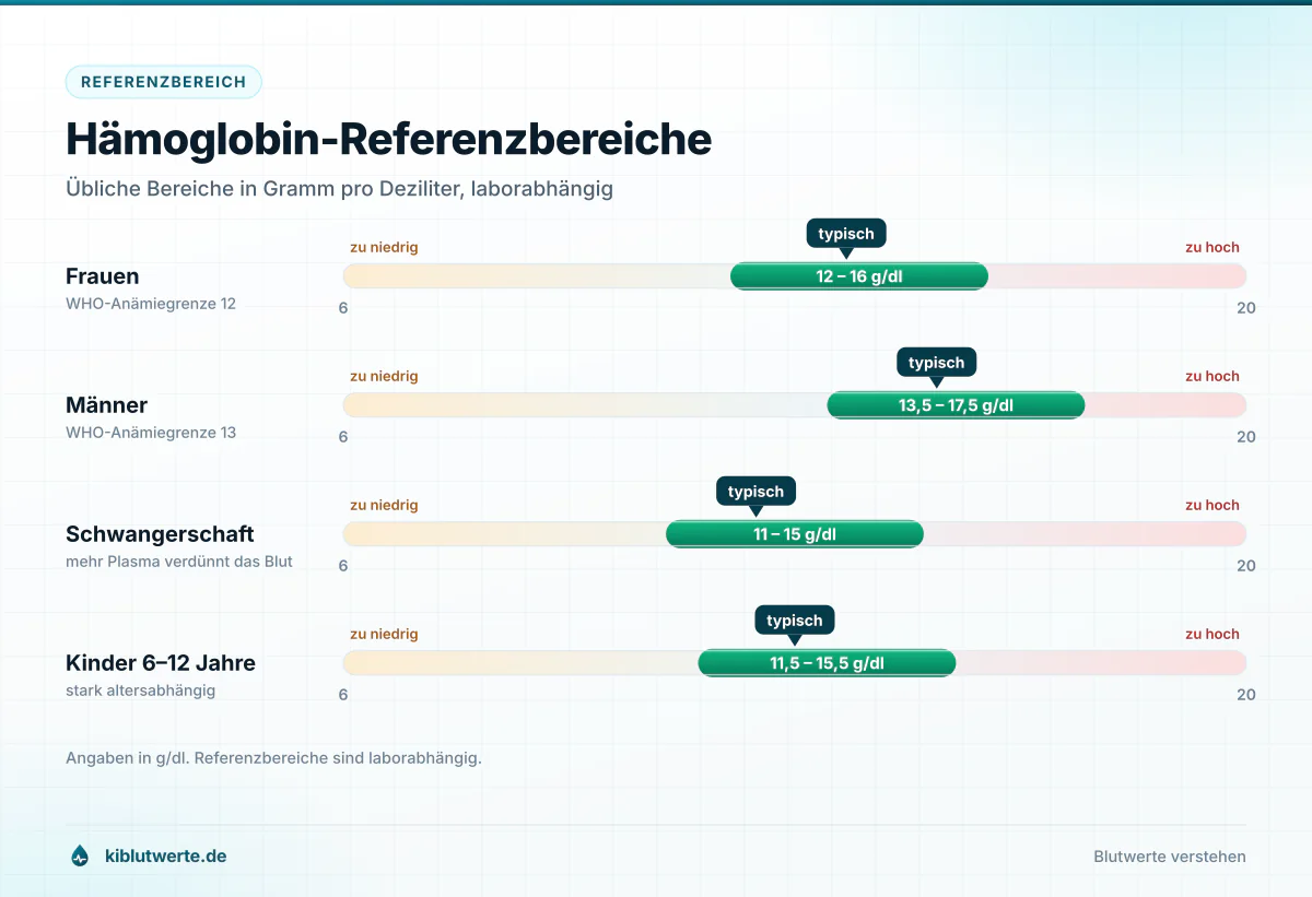 Hämoglobin-Referenzbereiche Skalengrafik der Hämoglobin-Referenzbereiche im Blutbild für Frauen, Männer, Schwangere und Kinder in Gramm pro Deziliter