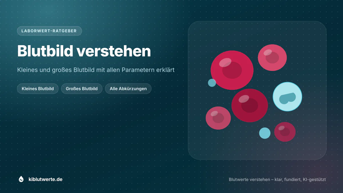 Blutbild verstehen Titelbild zum Ratgeber Blutbild verstehen mit Blutzellen-Motiv und Stichworten zu kleinem und großem Blutbild