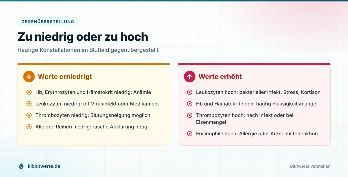 Zu niedrig oder zu hoch Gegenüberstellung erniedrigter und erhöhter Blutbildwerte mit typischen Ursachen für Anämie und Leukozytose