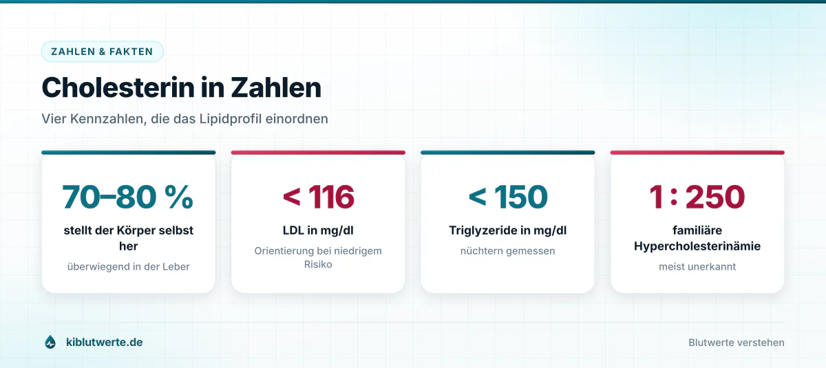 Kennzahlenkarte mit vier Werten zum Cholesterin: Eigenproduktion, LDL-Grenzwert, Triglyzeride und Häufigkeit der Erbform