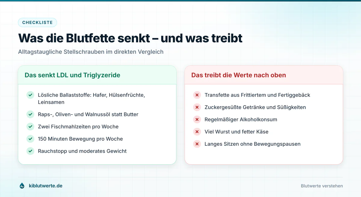 Checkliste in zwei Spalten mit Maßnahmen, die Cholesterin und Triglyzeride senken, und Gewohnheiten, die die Werte erhöhen