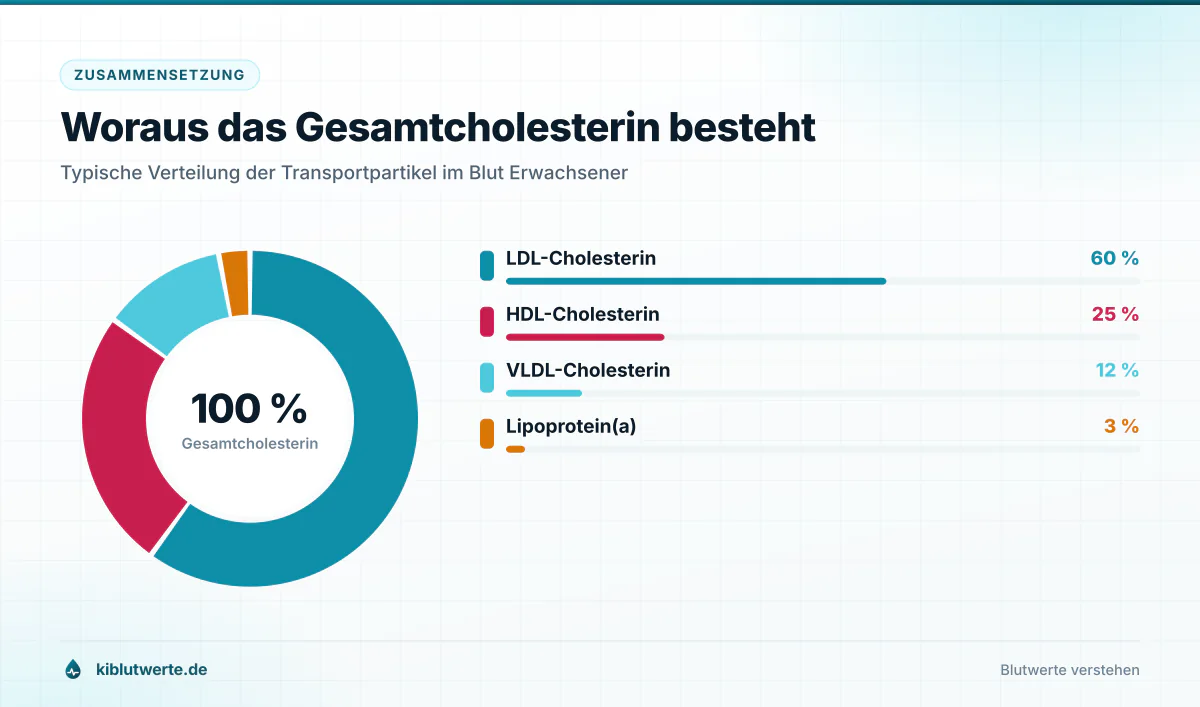 Ringdiagramm zur Verteilung des Gesamtcholesterins auf LDL, HDL, VLDL und Lipoprotein(a) mit Prozentangaben