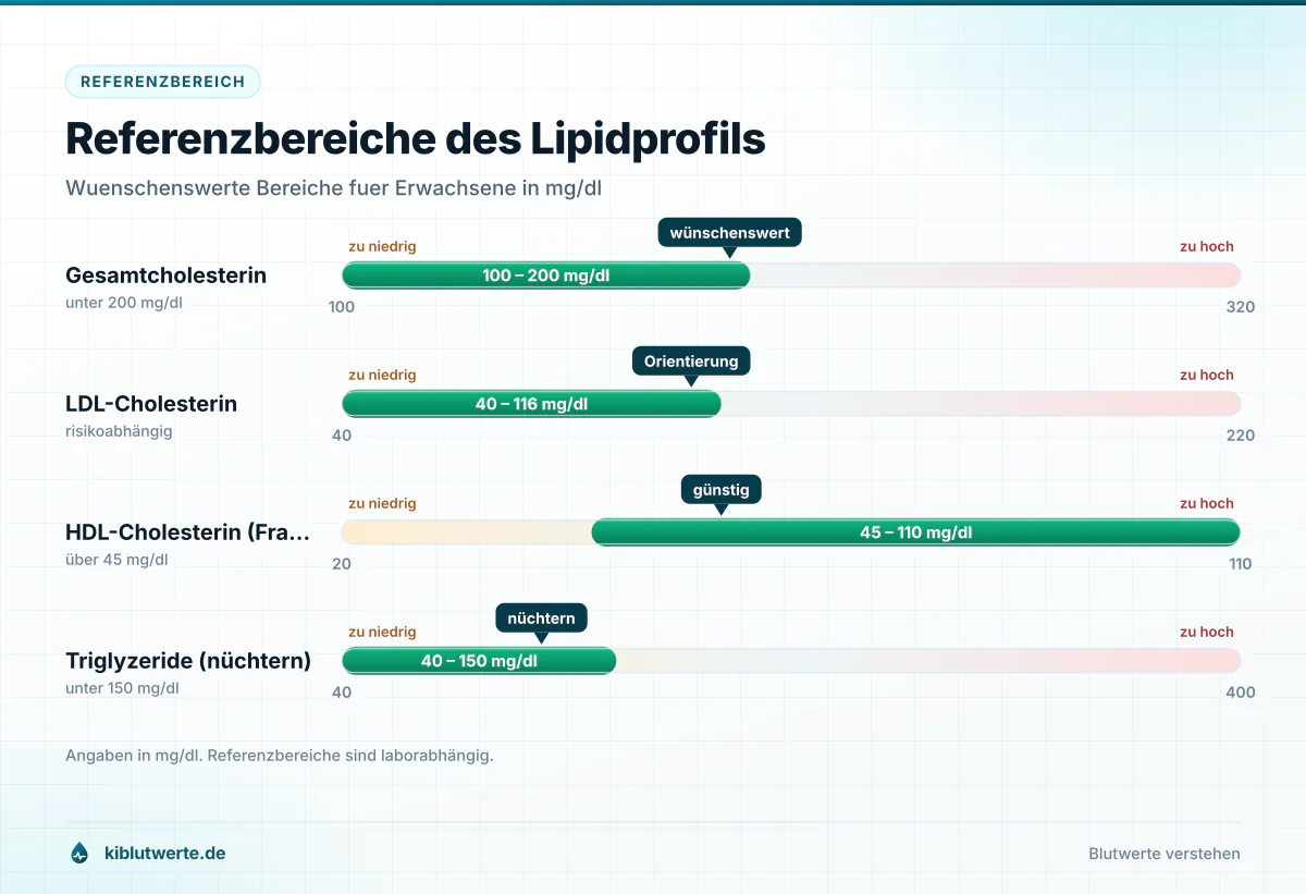 Skalendiagramm mit den wünschenswerten Bereichen für Gesamtcholesterin, LDL, HDL und Triglyzeride in Milligramm pro Deziliter