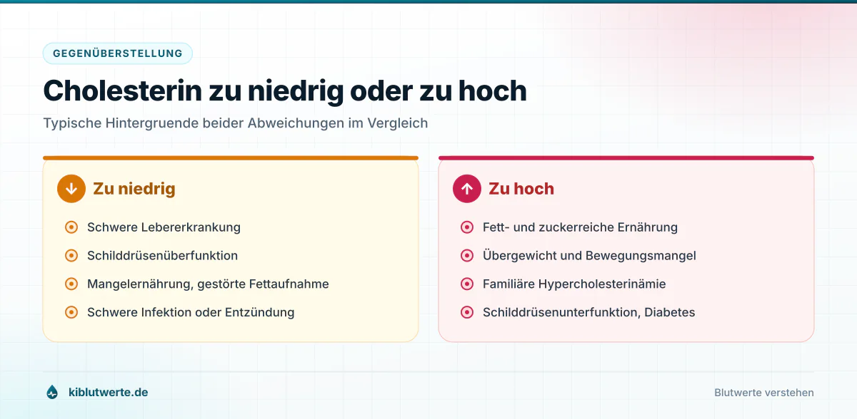 Gegenüberstellung typischer Ursachen für zu niedrige und zu hohe Cholesterinwerte in zwei Spalten