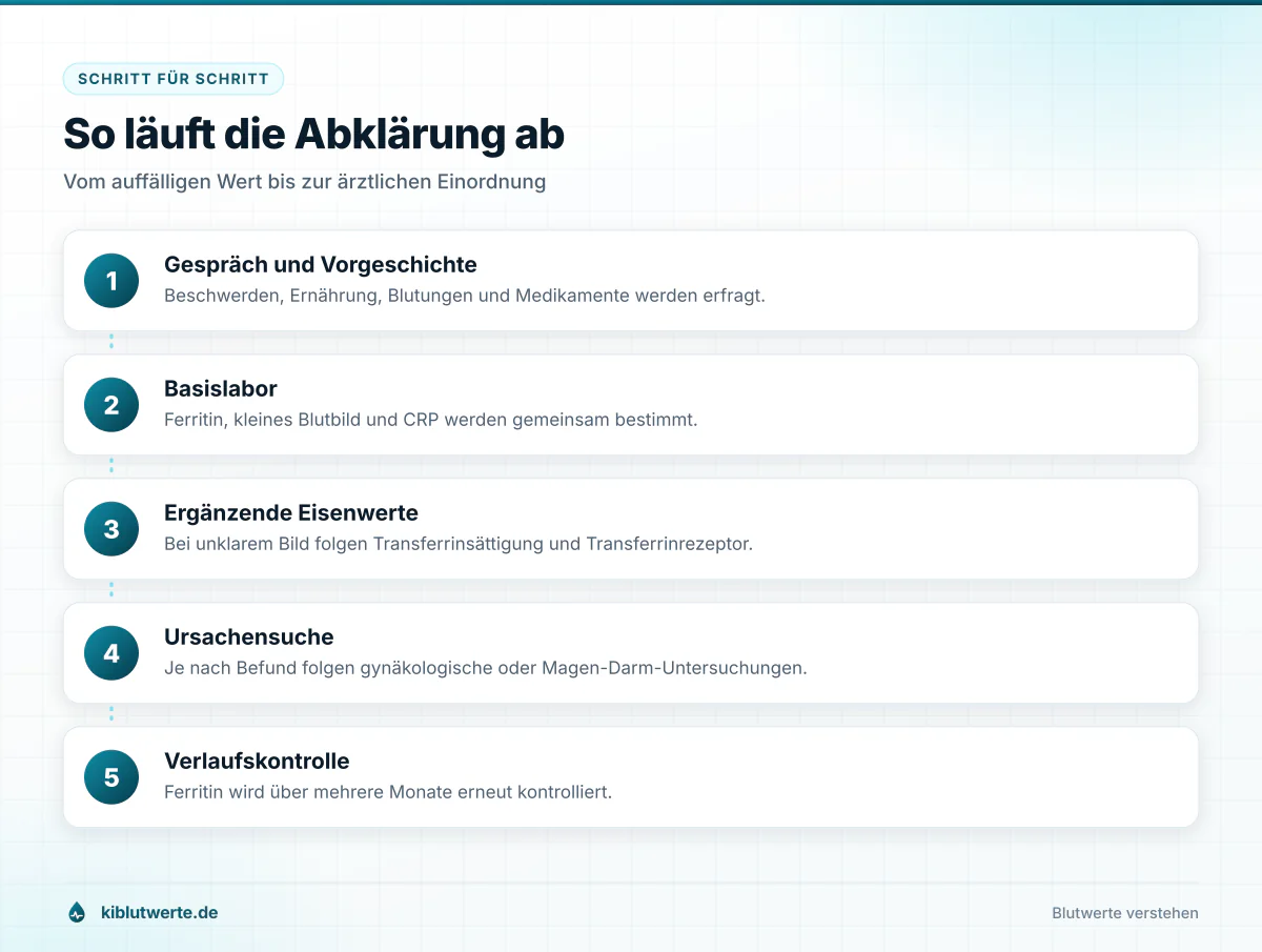 So läuft die Abklärung ab Fünfstufige Ablaufgrafik zur Abklärung eines niedrigen Ferritinwerts von der Anamnese bis zur Verlaufskontrolle