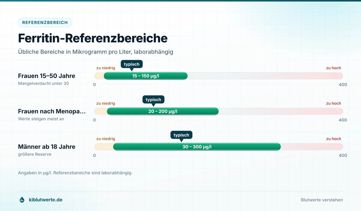 Ferritin-Referenzbereiche Skalengrafik der Ferritin-Referenzbereiche in Mikrogramm pro Liter für Frauen vor und nach der Menopause sowie Männer