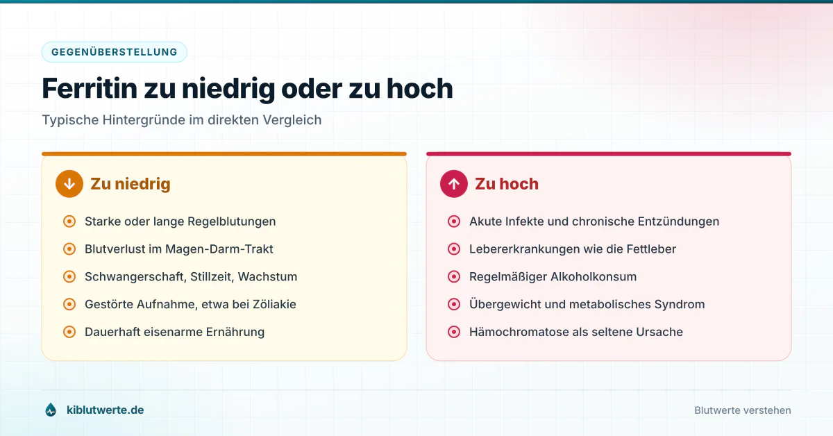 Ferritin zu niedrig oder zu hoch Gegenüberstellung der häufigsten Ursachen für zu niedriges und zu hohes Ferritin in zwei farbigen Spalten