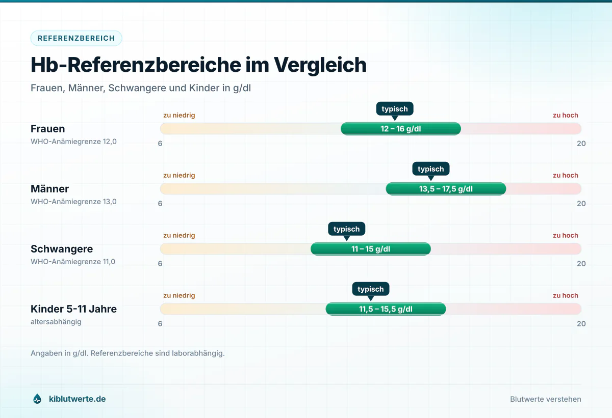 Hb-Referenzbereiche im Vergleich Balkenskala mit den Referenzbereichen für den Hämoglobin Wert bei Frauen, Männern, Schwangeren und Kindern in g/dl