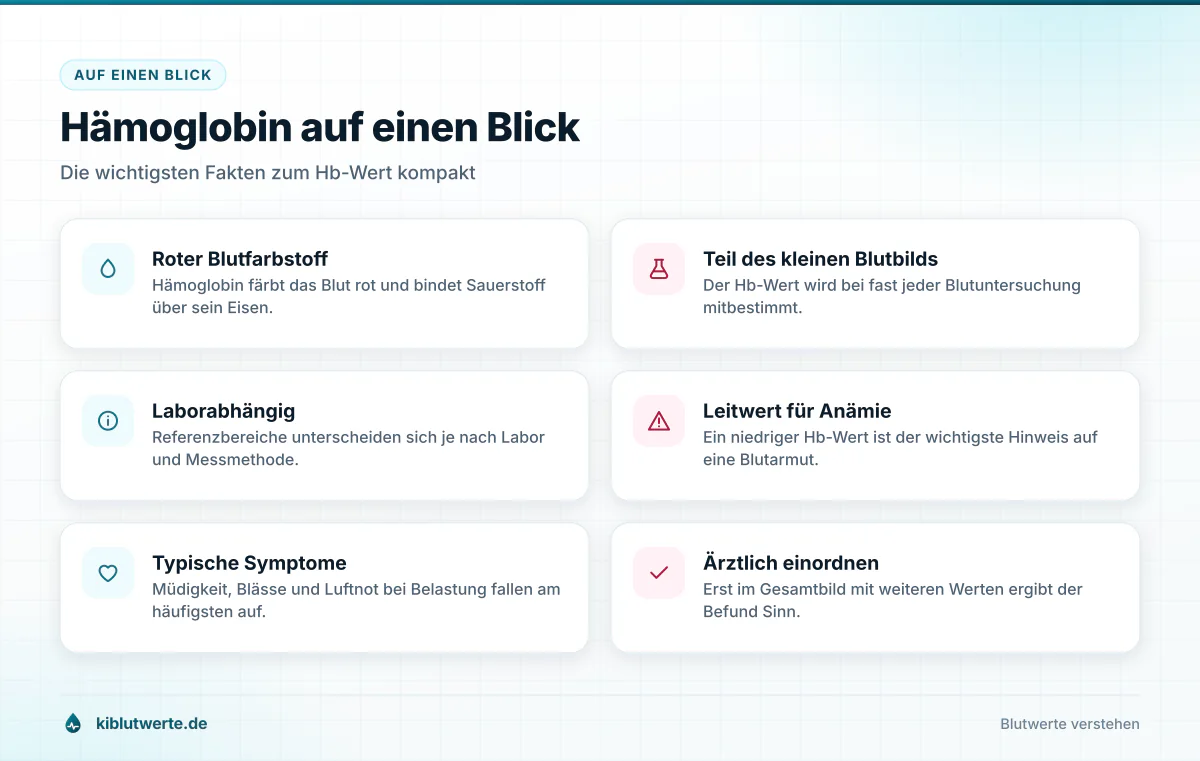 Hämoglobin auf einen Blick Faktenkarte mit sechs Kernaussagen zum Hämoglobin Wert, von der Aufgabe im Blut bis zur ärztlichen Einordnung
