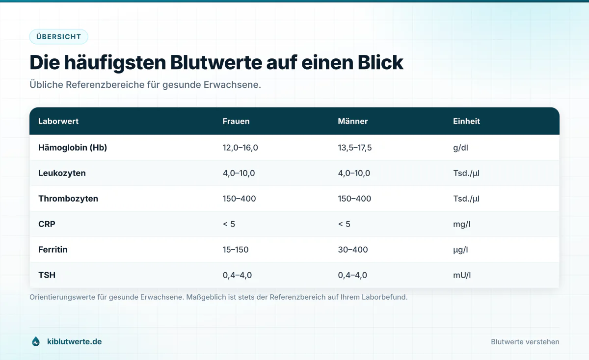 Tabelle mit Referenzbereichen häufiger Blutwerte wie Hämoglobin, Leukozyten, Thrombozyten, CRP, Ferritin und TSH für Frauen und Männer