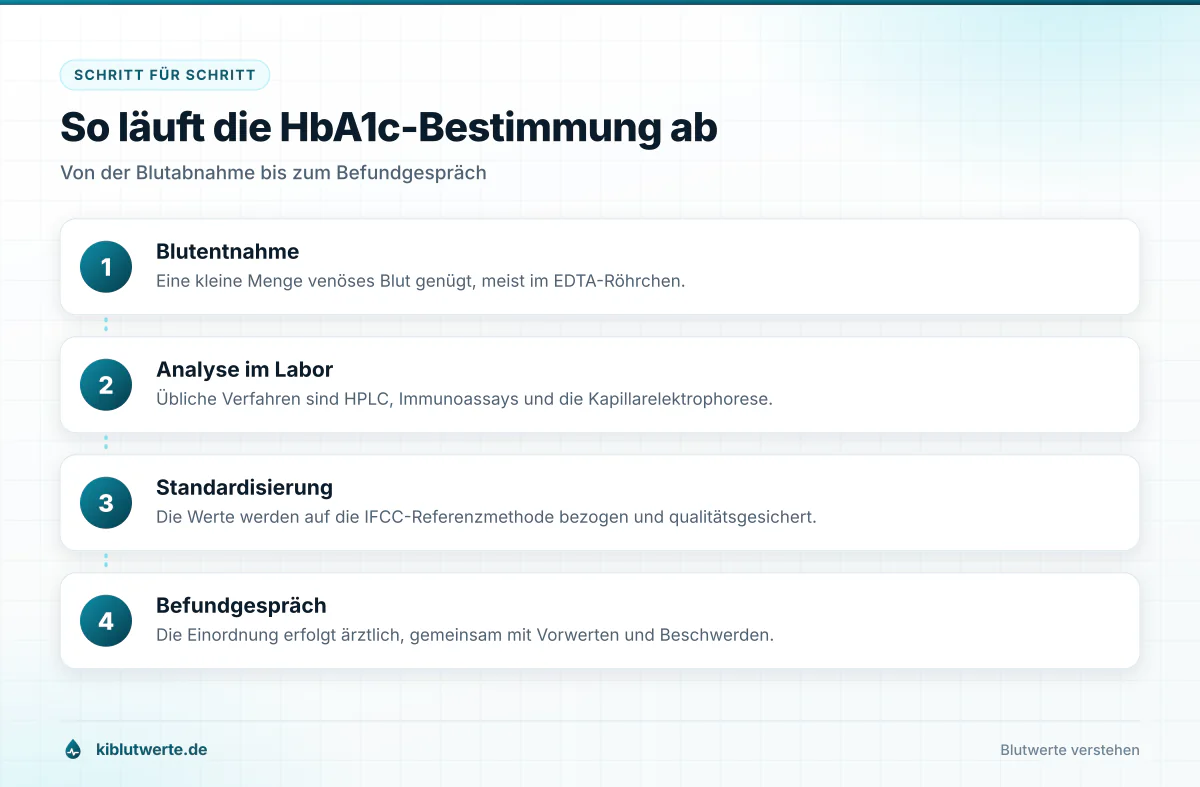 Ablaufgrafik der HbA1c Bestimmung in vier Schritten von der Blutabnahme über die Laboranalyse bis zum Gespräch