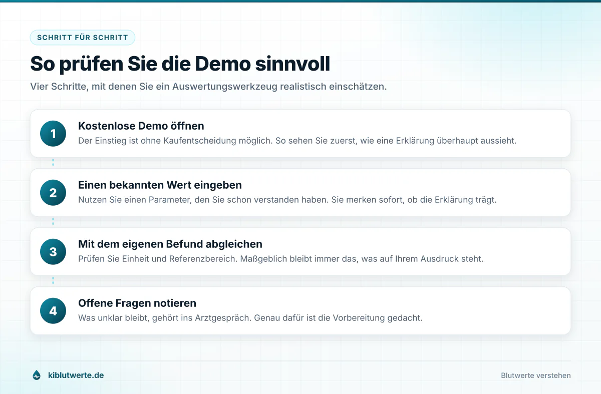 So prüfen Sie die Demo sinnvoll Ablaufgrafik in vier Schritten zur Prüfung eines Online-Werkzeugs für Blutwerte, von der Demo bis zum Arztgespräch