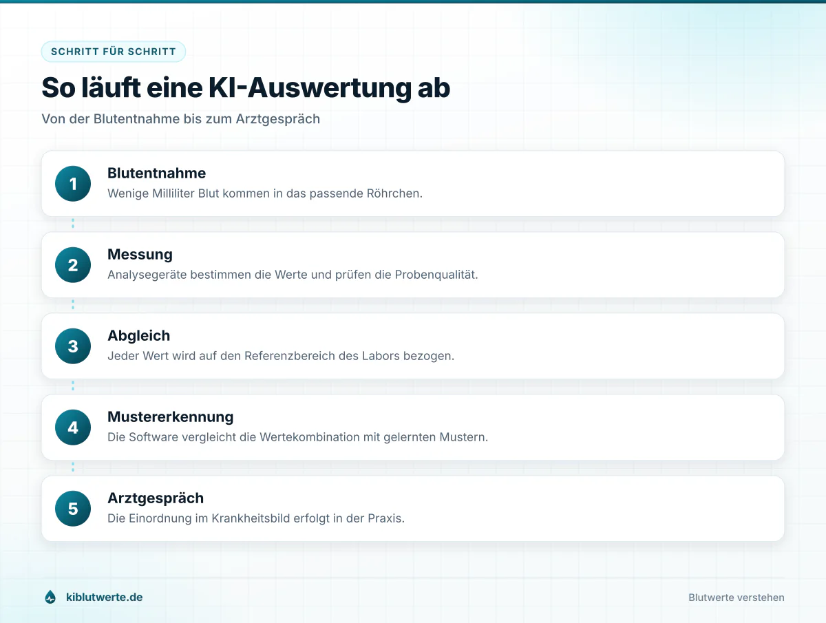 So läuft eine KI-Auswertung ab Ablaufgrafik zu KI Laborwerten mit fünf Schritten von der Blutentnahme über Messung und Mustererkennung bis zum Arztgespräch