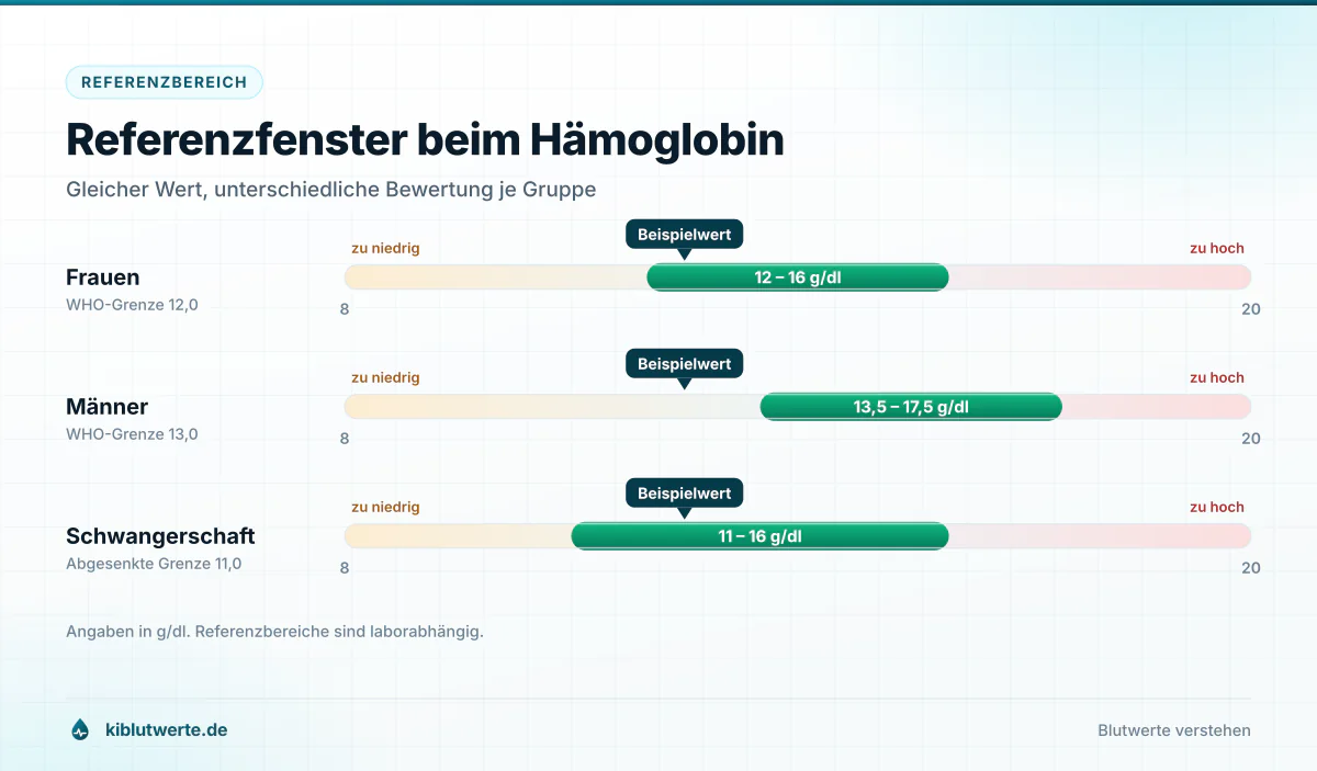 Referenzfenster beim Hämoglobin Skalendiagramm zu KI Laborwerten mit den Hämoglobin-Referenzbereichen für Frauen, Männer und die Schwangerschaft in g/dl