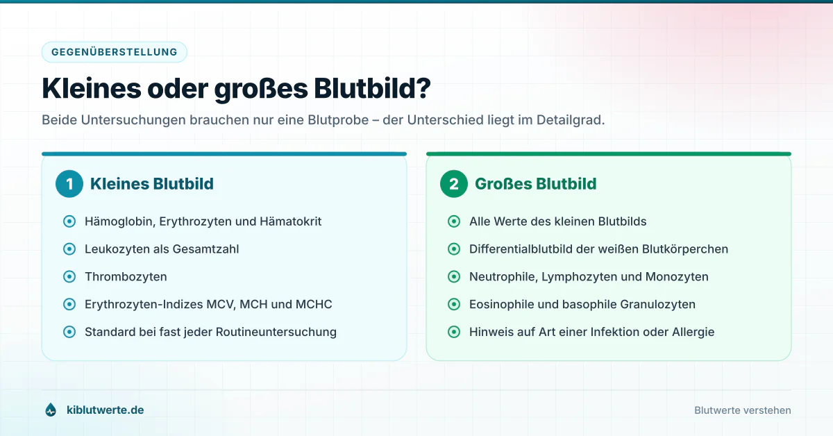 Gegenüberstellung von kleinem und großem Blutbild mit den jeweils enthaltenen Laborwerten in zwei Spalten