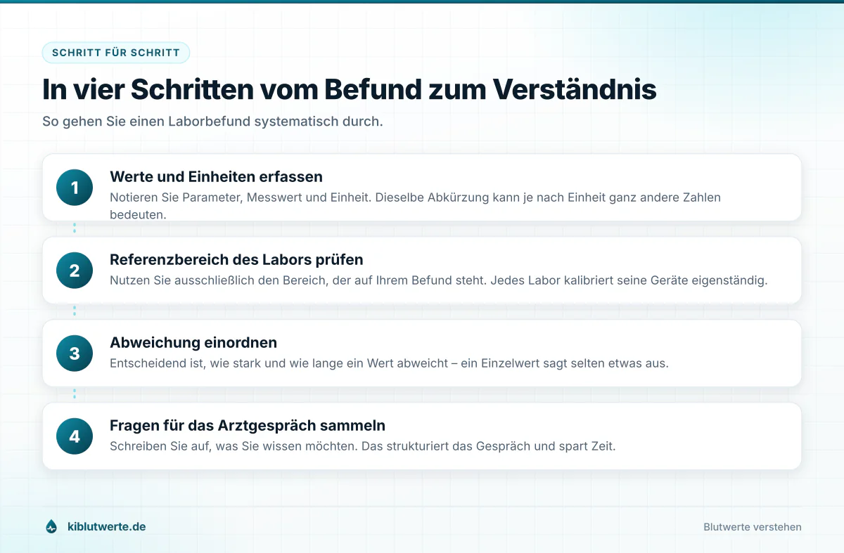 Ablaufgrafik in vier Schritten zum Verstehen eines Laborbefunds von der Blutabnahme bis zum Arztgespräch