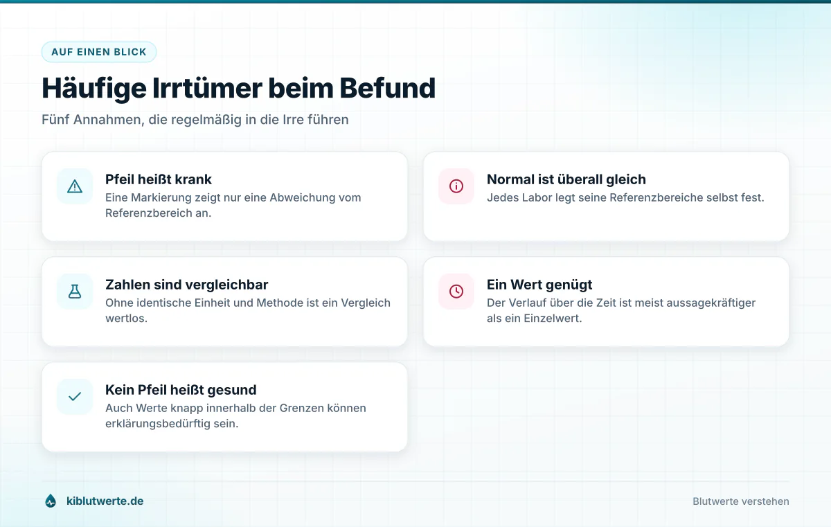Häufige Irrtümer beim Befund Übersichtskarte zum Laborbefund lesen mit fünf verbreiteten Irrtümern über Pfeile, Referenzbereiche und Einzelwerte