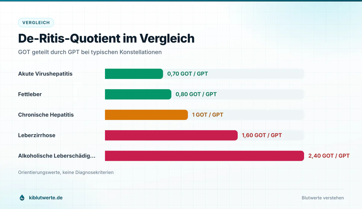 Balkendiagramm des De-Ritis-Quotienten aus GOT geteilt durch GPT bei Fettleber, Hepatitis, Zirrhose und Alkoholschaden