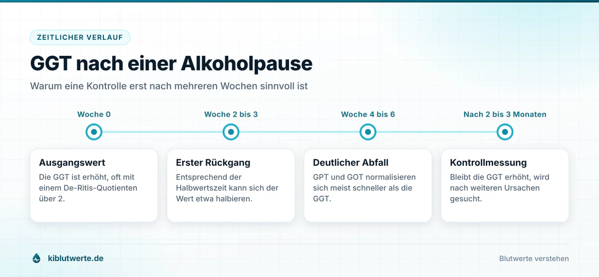 Zeitstrahl zum Verlauf der GGT nach Alkoholverzicht von der Ausgangsmessung bis zur Kontrolle nach zwei bis drei Monaten