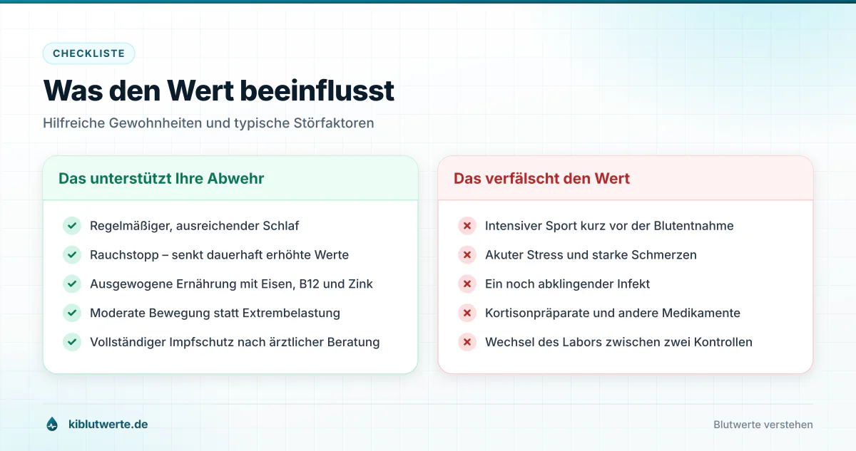 Zweispaltige Checkliste mit Faktoren, die die Leukozytenzahl stabil halten oder das Messergebnis verfälschen