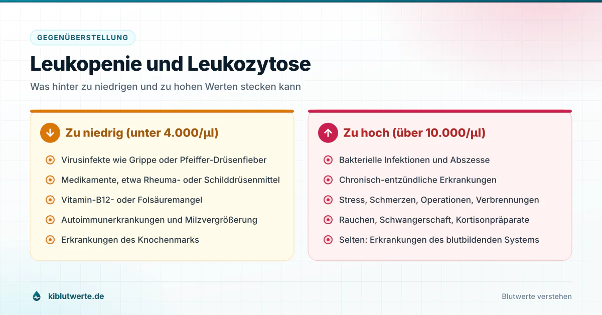 Gegenüberstellung von Leukopenie und Leukozytose mit typischen Ursachen für zu niedrige und zu hohe Leukozyten