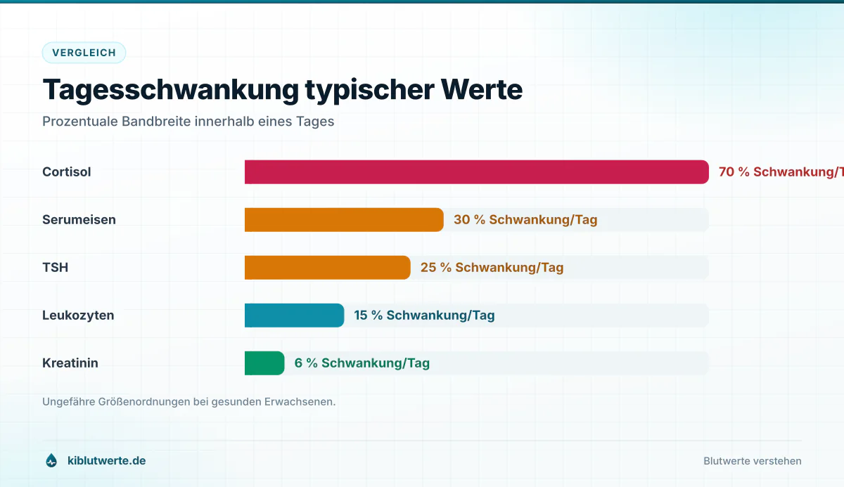 Balkendiagramm zur Tagesschwankung von Referenzwerte Blut mit Cortisol, Serumeisen, TSH und Kreatinin im Vergleich