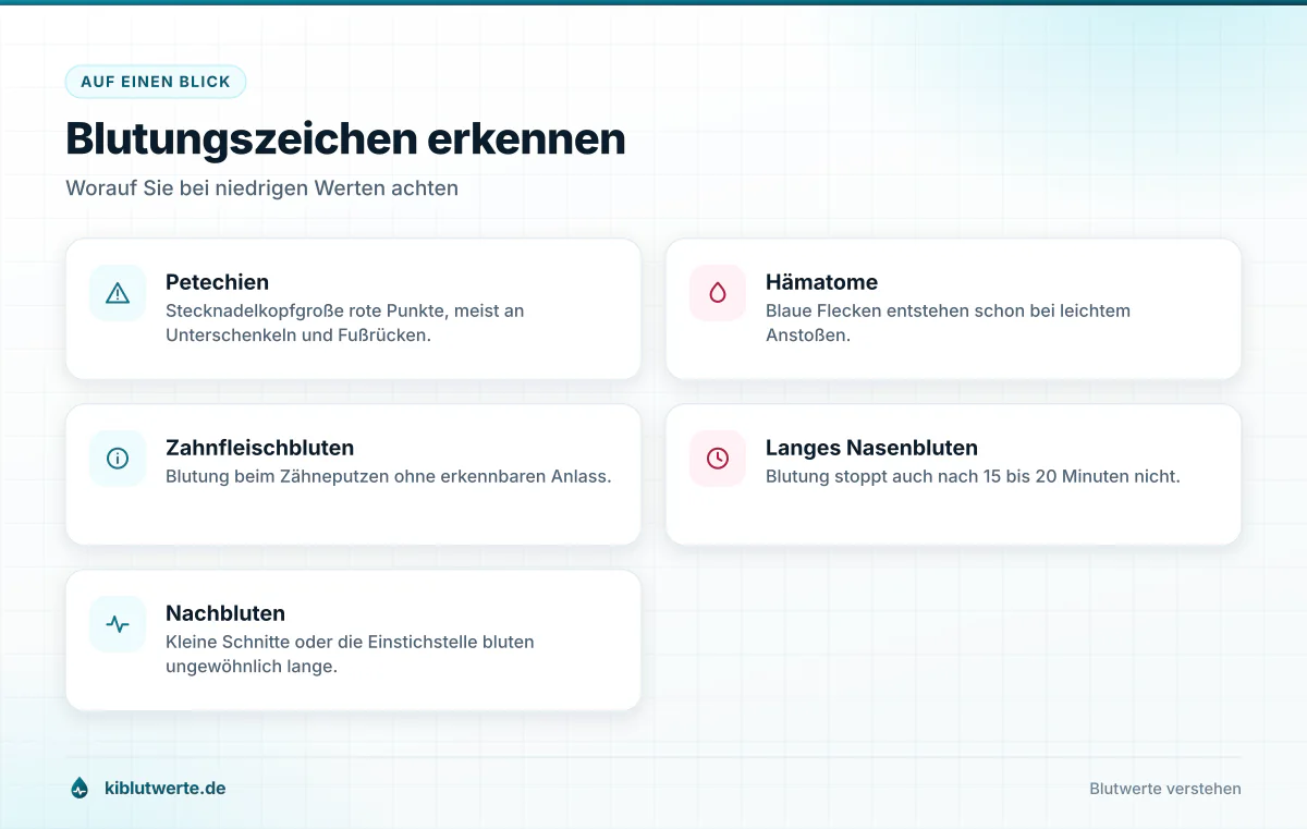 Übersichtskarte mit Blutungszeichen bei niedrigen Thrombozyten wie Petechien, Hämatomen, Zahnfleischbluten und Nachbluten