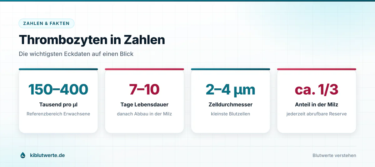 Kennzahlengrafik zu Thrombozyten mit Referenzbereich, Lebensdauer, Zellgröße und Milzspeicheranteil