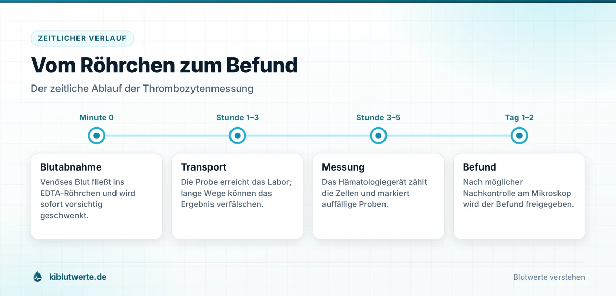 Zeitleiste der Thrombozytenbestimmung von der Blutabnahme über die Gerätemessung bis zur Befundbesprechung in der Praxis