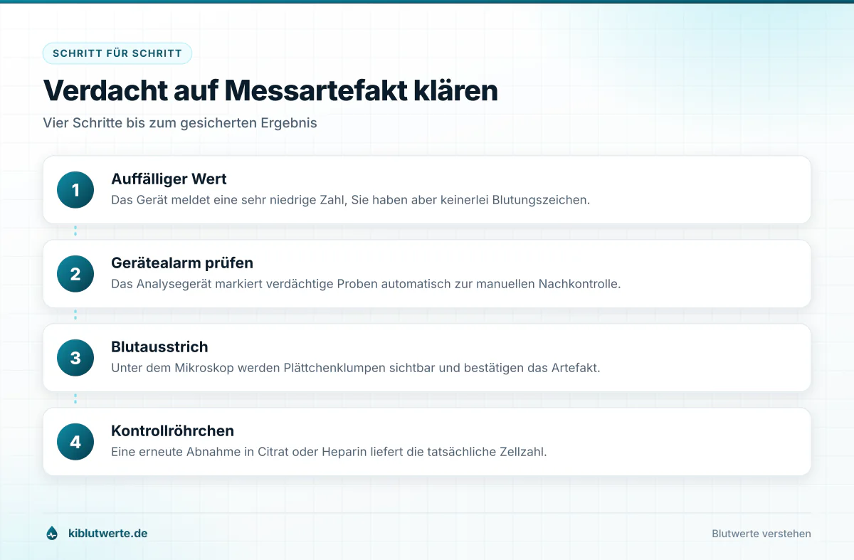 Ablaufgrafik zur Abklärung einer Pseudothrombozytopenie mit den Schritten von der auffälligen Messung bis zur Kontrolle im Citratröhrchen