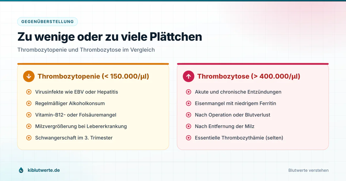 Gegenüberstellung von Thrombozytopenie und Thrombozytose mit typischen Ursachen und Anzeichen für zu niedrige und zu hohe Thrombozyten