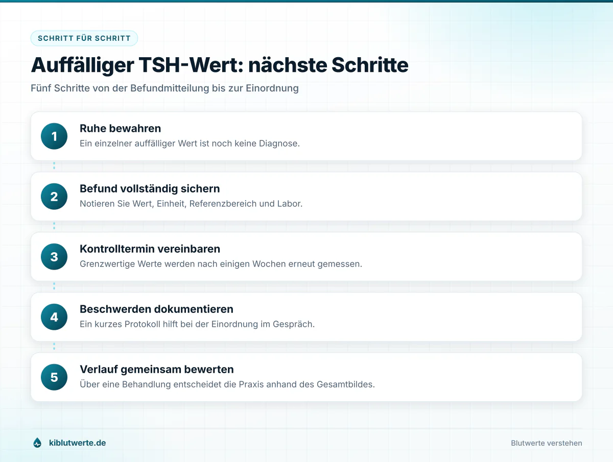 Auffälliger TSH-Wert: nächste Schritte Ablaufgrafik mit fünf Schritten nach einem auffälligen TSH-Wert von der Befundsicherung bis zur gemeinsamen Bewertung