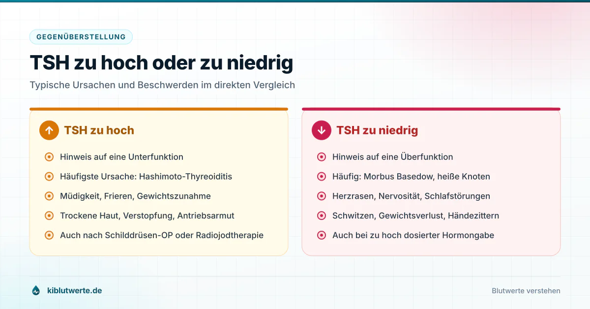 TSH zu hoch oder zu niedrig Gegenüberstellung von zu hohem und zu niedrigem TSH-Wert mit typischen Ursachen und Beschwerden bei Unter- und Überfunktion
